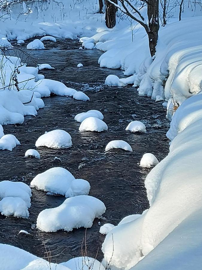 Domek Nad Potokiem Stronie Śląskie Esterno foto